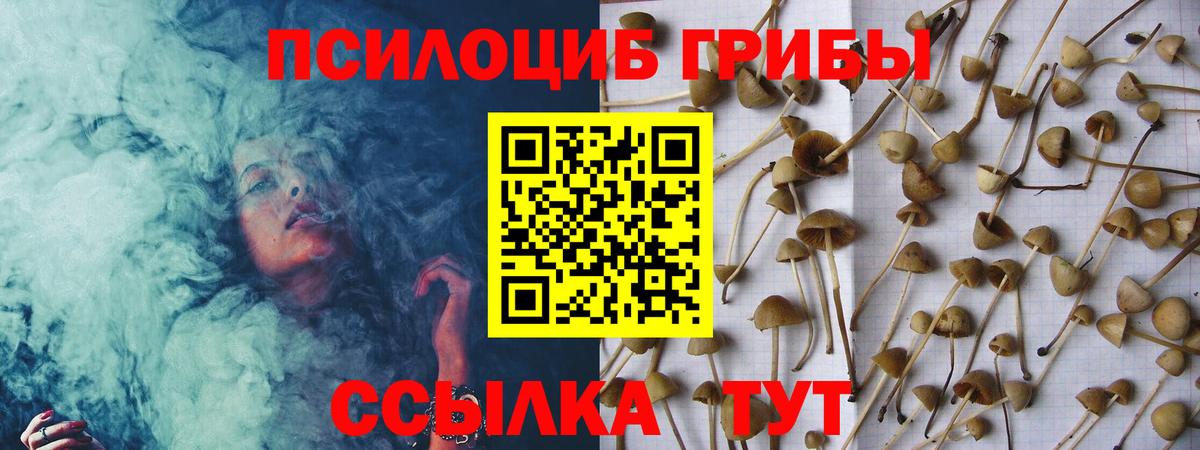 Лениногорск  Псилоцибиновые грибы мухоморы  Вход с VPN  как найти закладки  Галлюциногенные грибы прущие грибы 